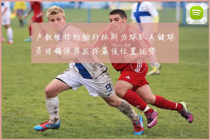 卢教练称约翰科林斯为球队关键球员将确保其发挥最佳位置优势