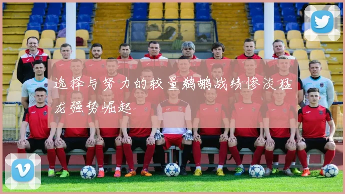 选择与努力的较量鹈鹕战绩惨淡猛龙强势崛起